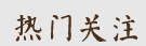 热门关注